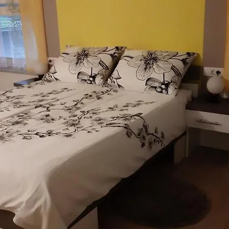 Πανσιόν Vesna 3*