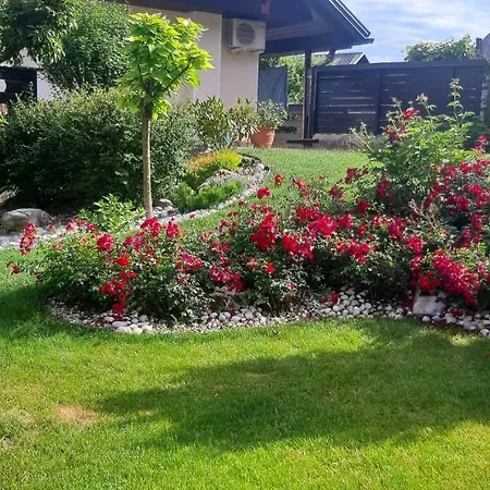 Vesna 3* Bled